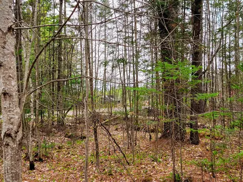 280 Guyette Rd, Marshfield, VT 05658 photo 27