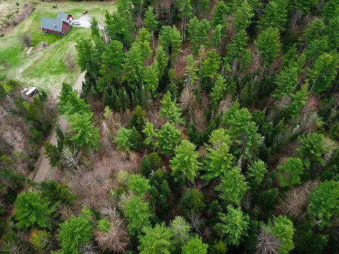 280 Guyette Rd, Marshfield, VT 05658 photo 38