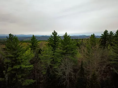 280 Guyette Rd, Marshfield, VT 05658 photo 36