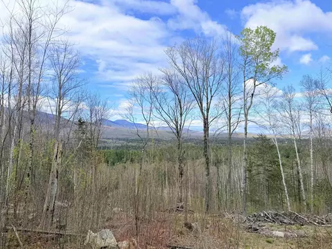 00 Route 3 N #43 & 46, Carroll, NH 03595
