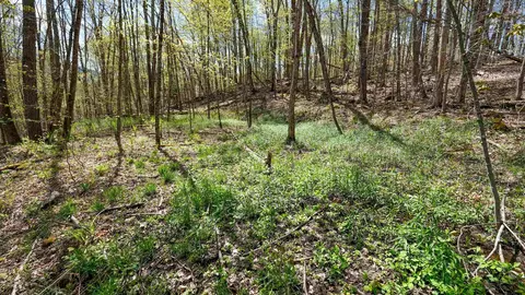 269 Hawkins Rd, Wallingford, VT 05773