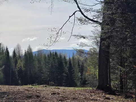 00 Old Coach Rd #4, Lyndonville, VT 05851