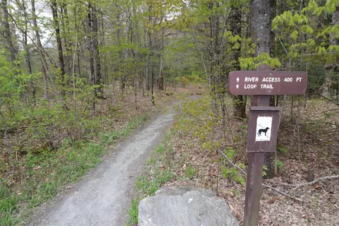 Exterior - 3955 Vt Route 100, Warren, VT 05674 photo 17 of 18