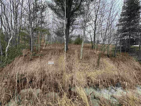 Barnstead North Road #4, Barnstead, NH 03225 photo 5