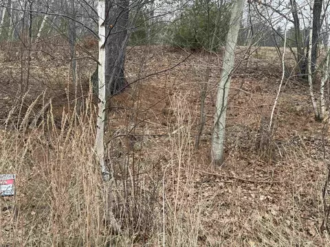 Barnstead North Road #4, Barnstead, NH 03225 photo 3
