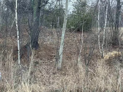 Barnstead North Road #4, Barnstead, NH 03225 photo 6