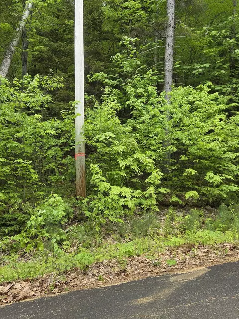 12-10 Boulder Dr, Campton, NH 03223 photo 5
