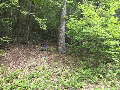 12-10 Boulder Dr, Campton, NH 03223