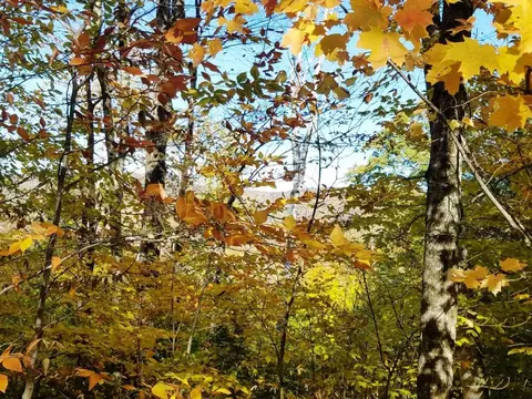 12-10 Boulder Dr, Campton, NH 03223 photo 3