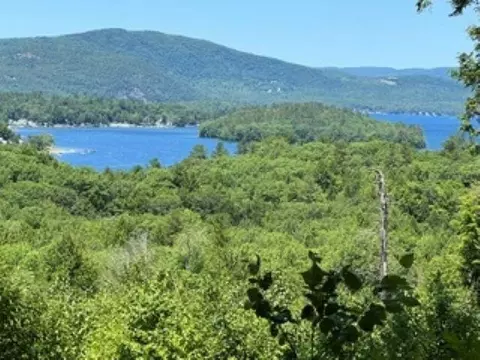 207 Overlook Dr #217-133-1, Bristol, NH 03222