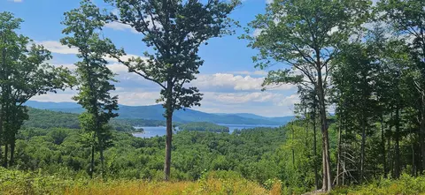 207 Overlook Dr #217-133-1, Bristol, NH 03222