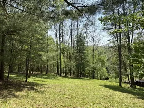 0 Gold Coast Rd, Bridgewater, VT 05034