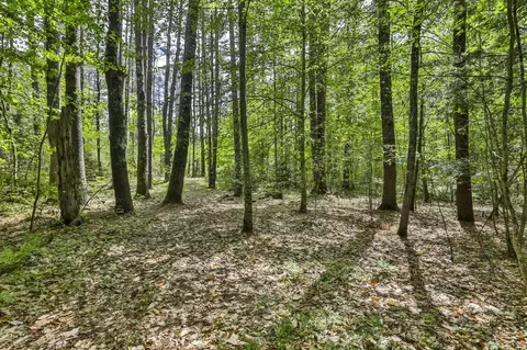 2 2b Camp Rd # A, Amherst, NH 03031