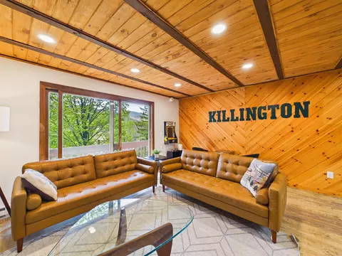 Living - 774 E Mountain Rd #E6, Killington, VT 05751 photo 3 of 7