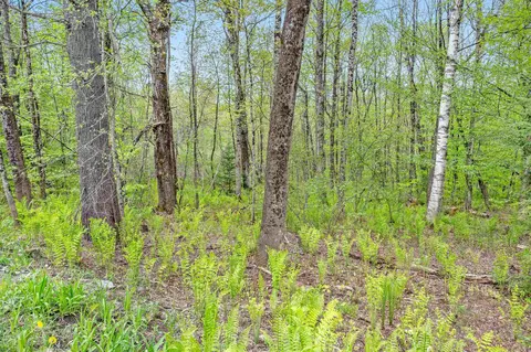 753 Scrabble Hill Rd #2, Duxbury, VT 05676