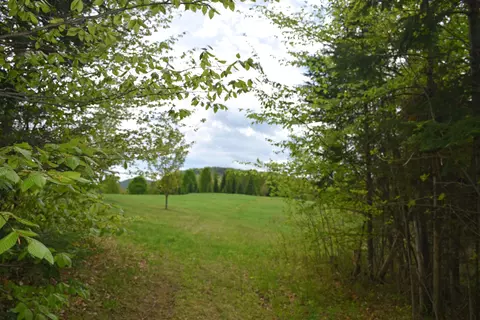 lot B Windmill Ln, Williamstown, VT 05679 photo 10