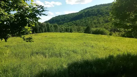 lot B Windmill Ln, Williamstown, VT 05679