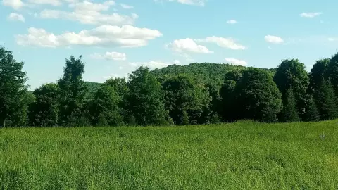 lot B Windmill Ln, Williamstown, VT 05679 photo 3