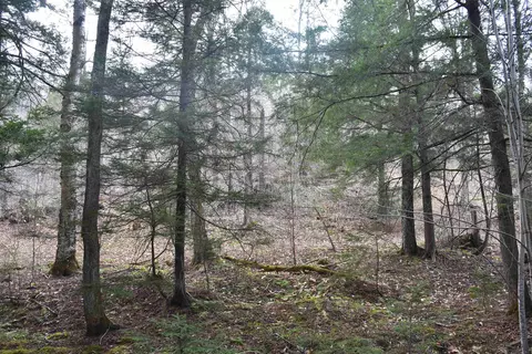 lot B Windmill Ln, Williamstown, VT 05679 photo 52