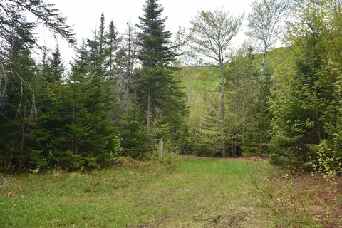 lot B Windmill Ln, Williamstown, VT 05679 photo 34