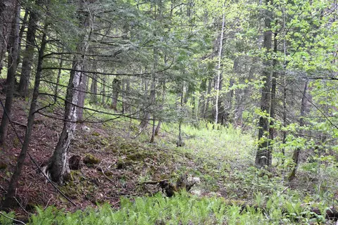 lot B Windmill Ln, Williamstown, VT 05679 photo 30