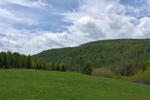 lot B Windmill Ln, Williamstown, VT 05679 photo 15