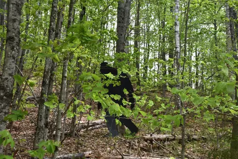 lot B Windmill Ln, Williamstown, VT 05679 photo 8