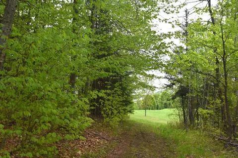 lot B Windmill Ln, Williamstown, VT 05679 photo 23