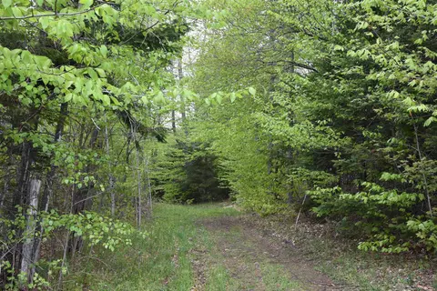 lot B Windmill Ln, Williamstown, VT 05679 photo 31