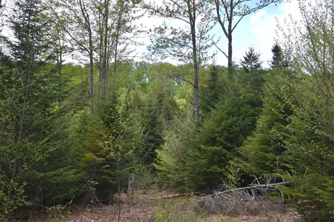 lot B Windmill Ln, Williamstown, VT 05679 photo 51