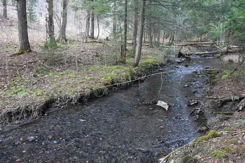 lot B Windmill Ln, Williamstown, VT 05679 photo 19