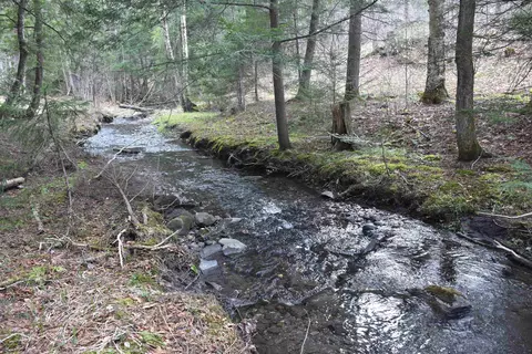 lot B Windmill Ln, Williamstown, VT 05679 photo 7