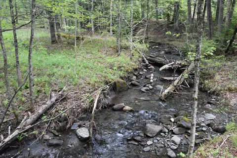 lot B Windmill Ln, Williamstown, VT 05679 photo 45