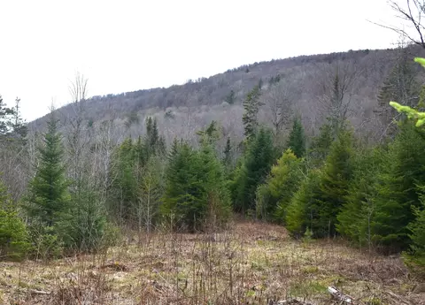 lot B Windmill Ln, Williamstown, VT 05679 photo 14