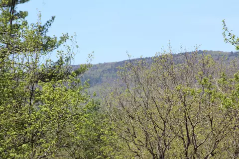 lot23 24 Wetherbee Rd, Lyman, NH 03585