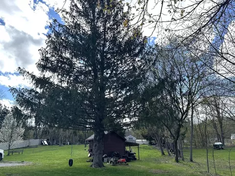 Exterior - 175 Creek Rd, Castleton, VT 05735 photo 3 of 11