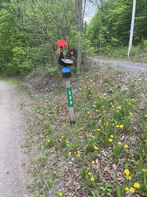 Other - 335 Valley View Dr, Addison, VT 05491 photo 1 of 12