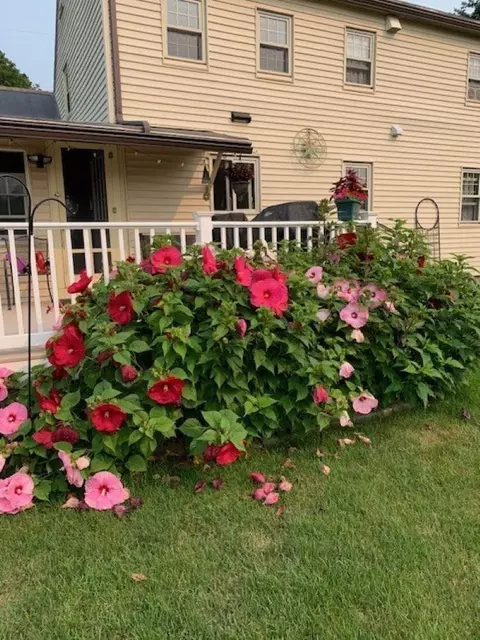 Other - 39 Dearborn Ave, Hampton, NH 03842 photo 4 of 4