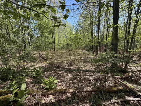 550 Petit Rd, Coventry, VT 05825