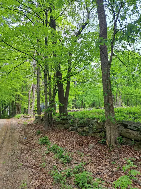 81 Hart Farm Rd, Deering, NH 03244