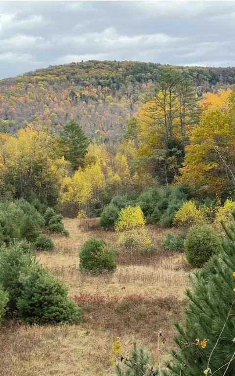 lot4 Catterall Rd, Lisbon, NH 03585