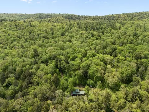 View/Area - 442 Brookline Rd, Newfane, VT 05345 photo 2 of 3
