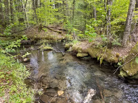 View/Area - 442 Brookline Rd, Newfane, VT 05345 photo 1 of 3