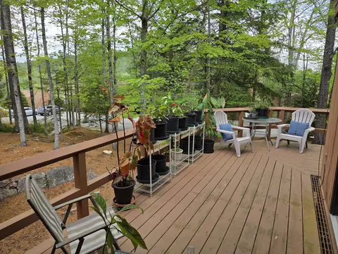 841 Cove Dr, Grantham, NH 03753