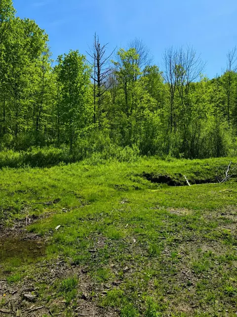 0 Blake Hill Rd, Woodbury, VT 05681
