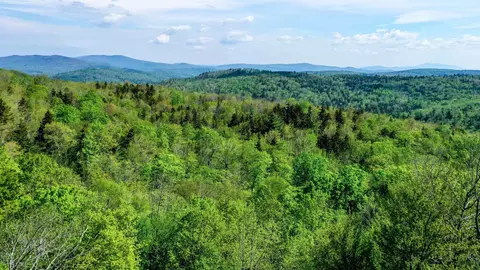 Other - 315 Windham Springs Rd, Windham, VT 05359 photo 4 of 4