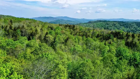 View/Area - 315 Windham Springs Rd, Windham, VT 05359 photo 1 of 1