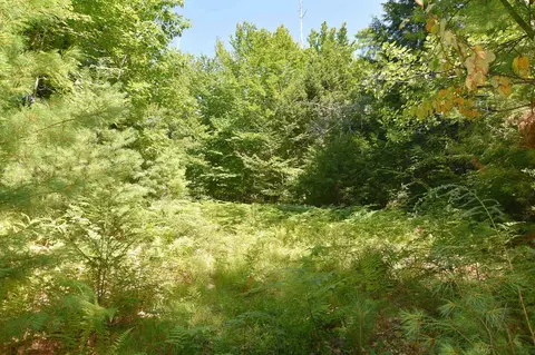 Exterior - 72 Conway Rd, Madison, NH 03849 photo 6 of 16