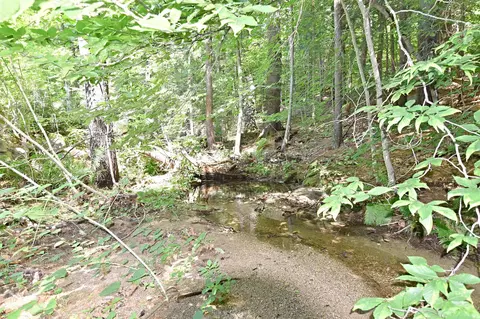Other - 72 Conway Rd, Madison, NH 03849 photo 4 of 15