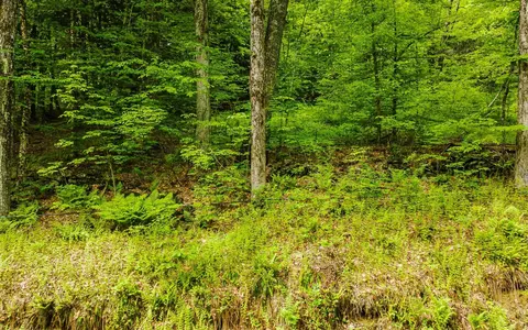 lot67 Camp Brook Rd, Alstead, NH 03602